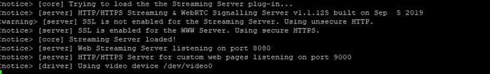 UV4L WebRTC HTTPS Secured Custom Web Page Running